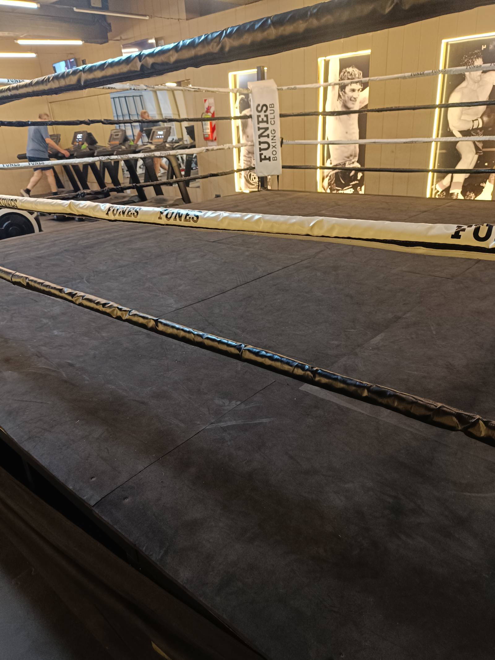 Montoya Box